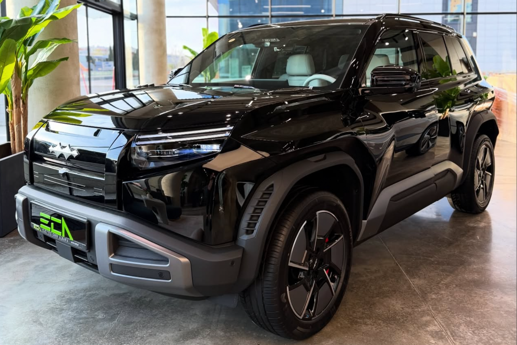 BYD Leopard TI3