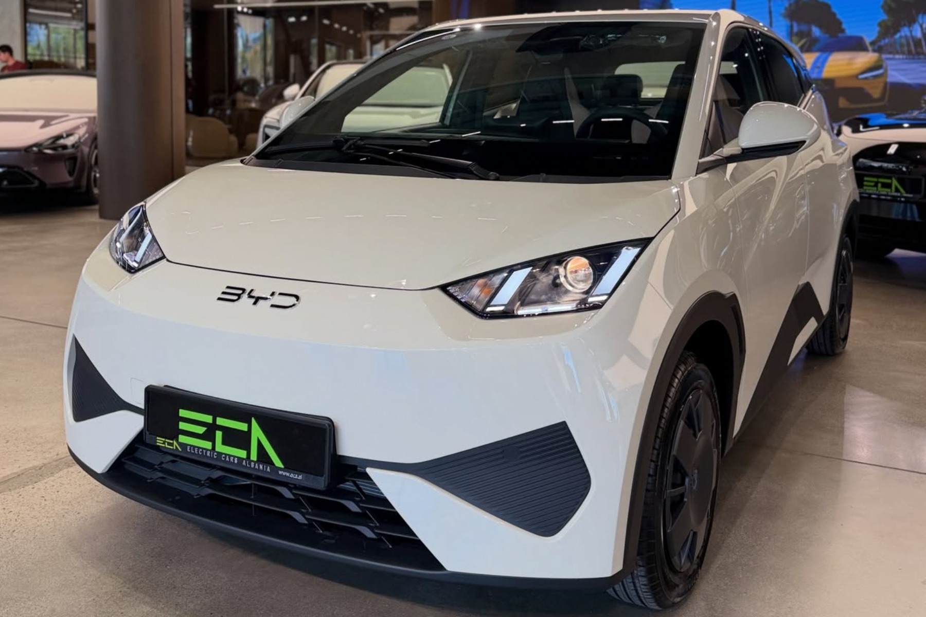 BYD Seagull