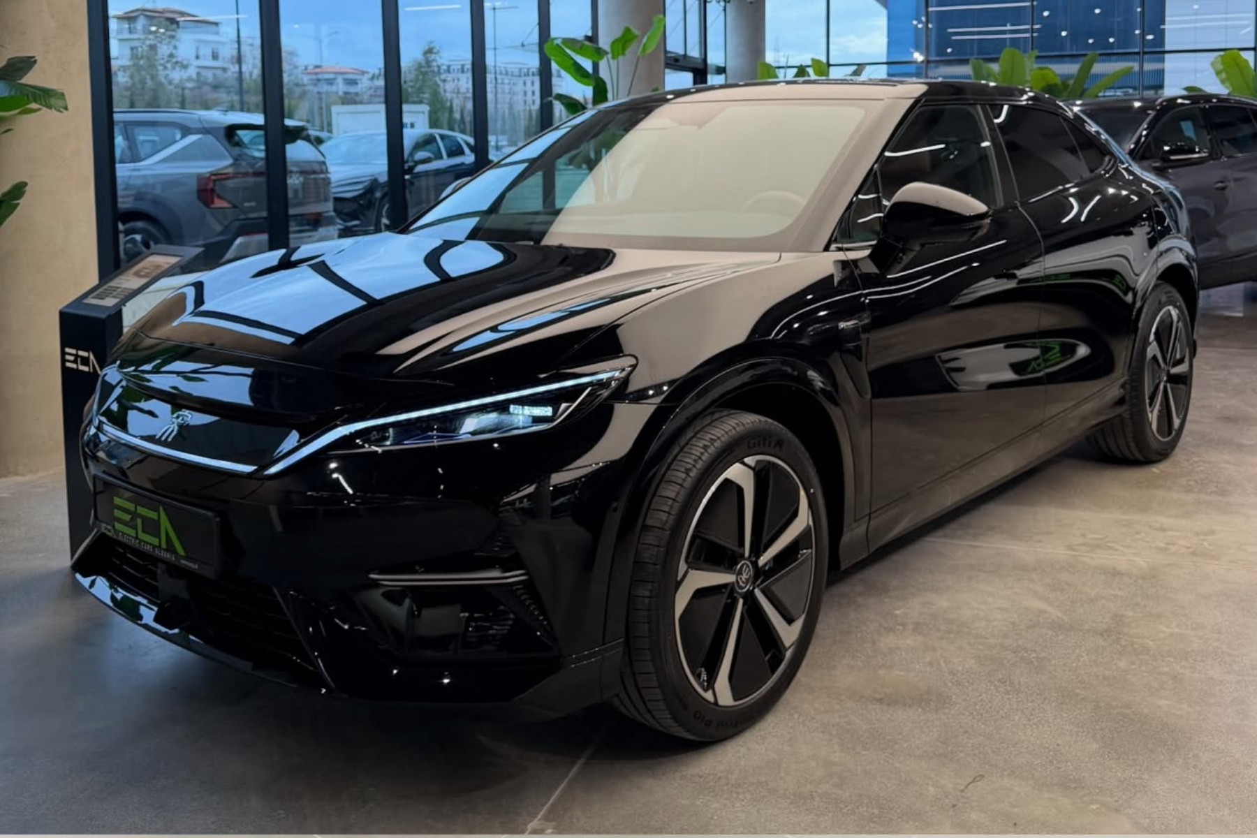 BYD Song L